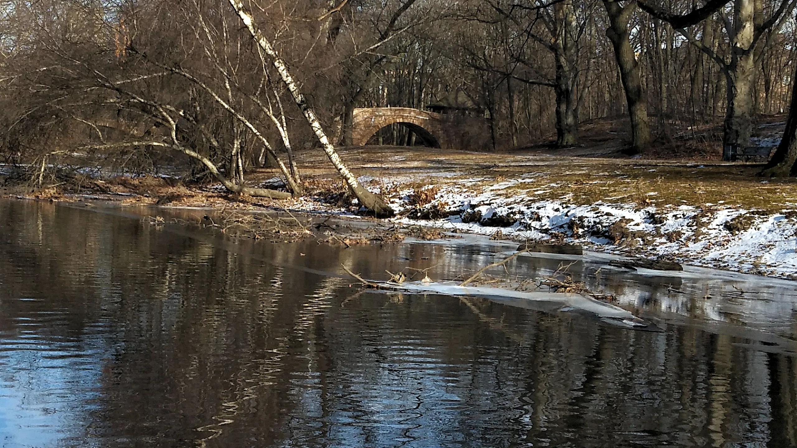 By Muddy River in Winter