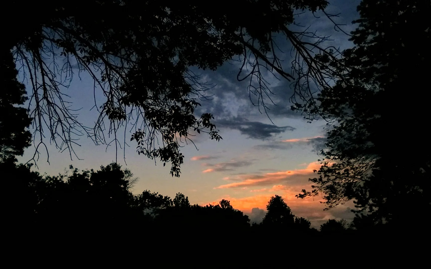 Darkening, blue sky, with dark and crepuscular clouds, at twilight after sunset. Along the edges are silhouettes branches and tops of trees.